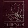 Сенполия & Булошная