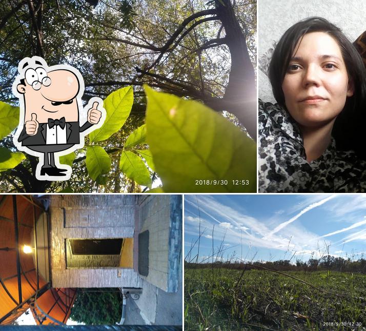 Шашлычный Дворик