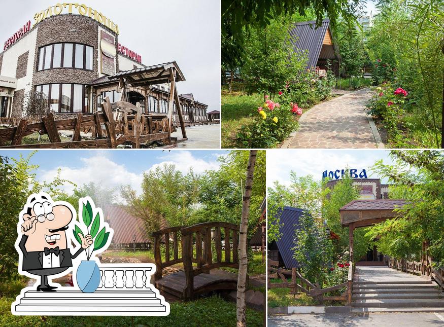 Золотоноша