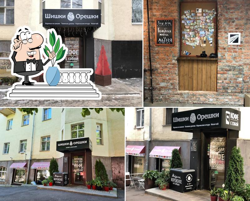 Шишки&Орешки