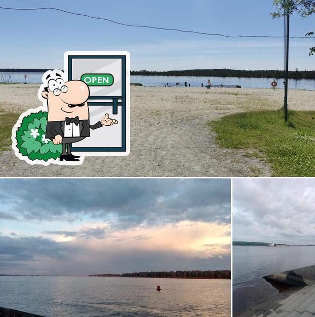 Шаурмастер