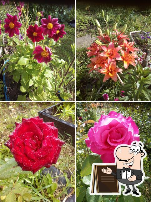 Банкетный зал "VERONA" и Пиццерия "Три Пирога"