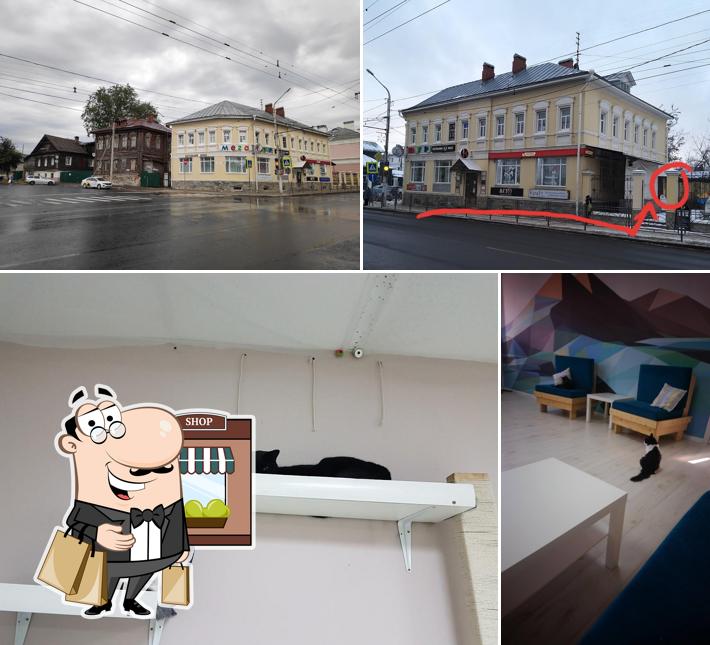 Котокафе МАО