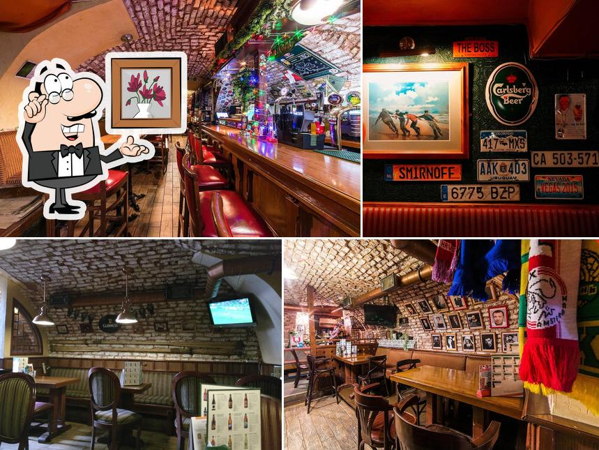 Молли Шелтер