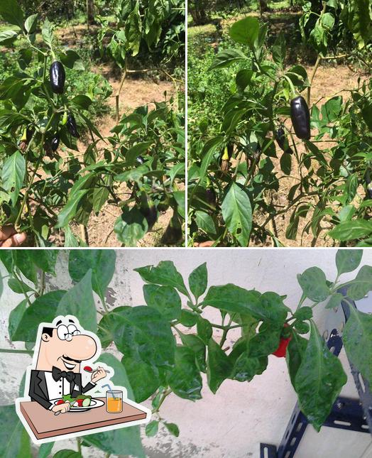 Chilli World Chilli World - บริษัทปลูกพริกเดอะเวิลด์, Бангкок - Меню, цены и отзывы ...