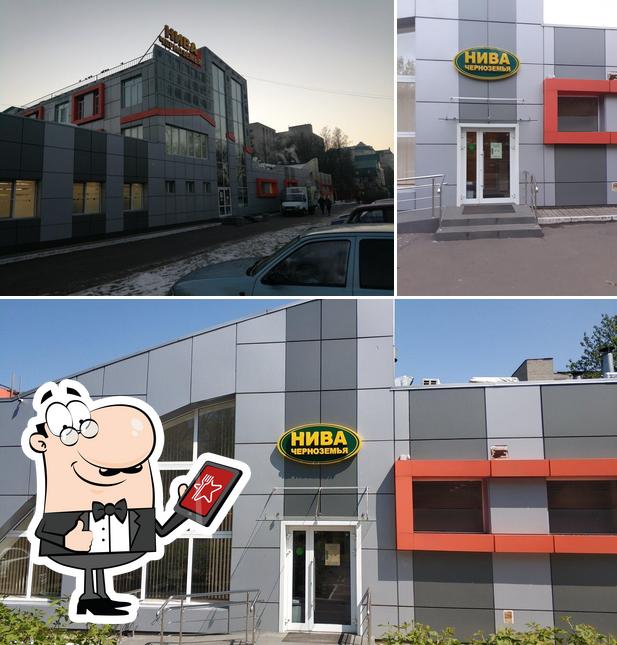 Нива Черноземья