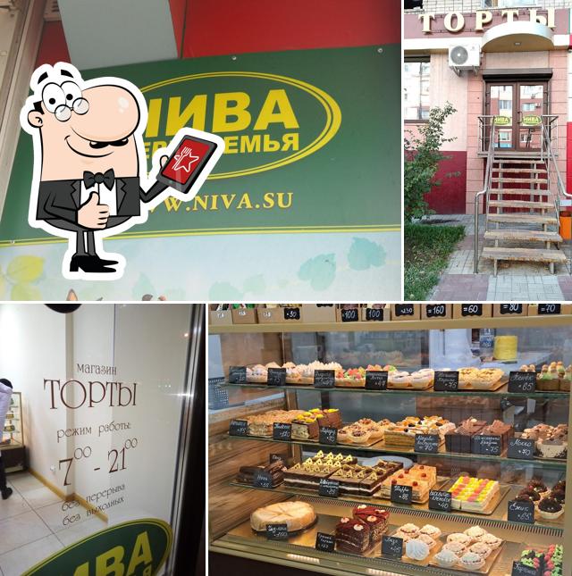 Магазин ТОРТЫ НИВА
