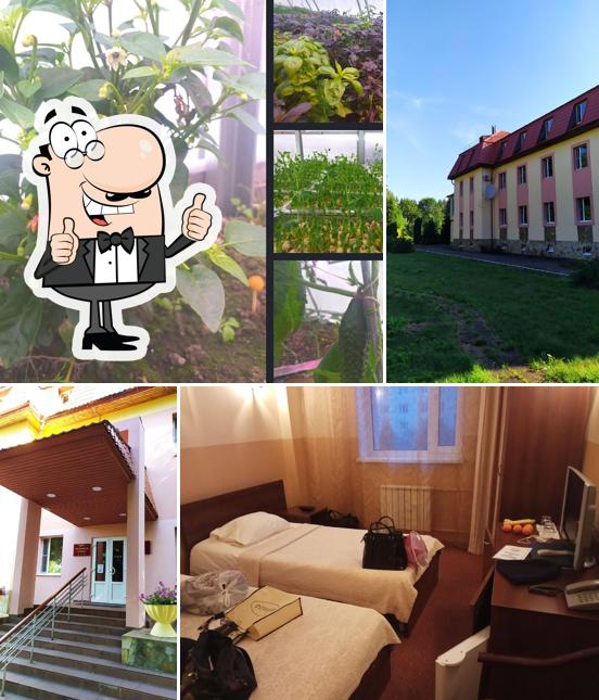 Ресторан Чайка