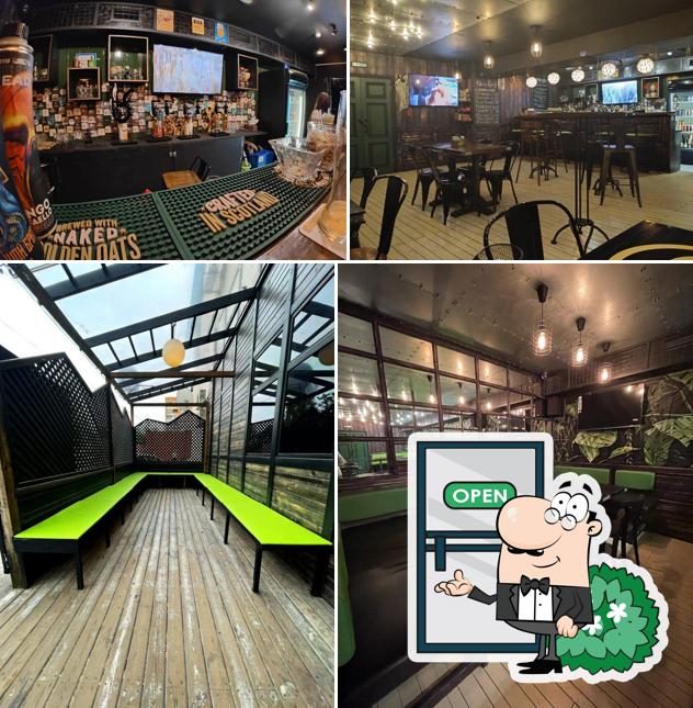 Зеленая фея