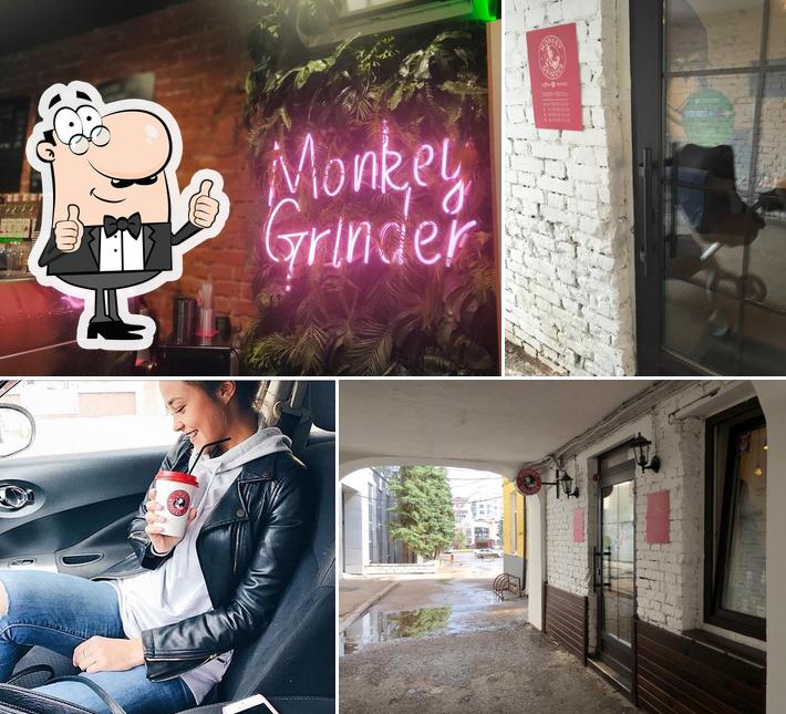 Monkey Grinder