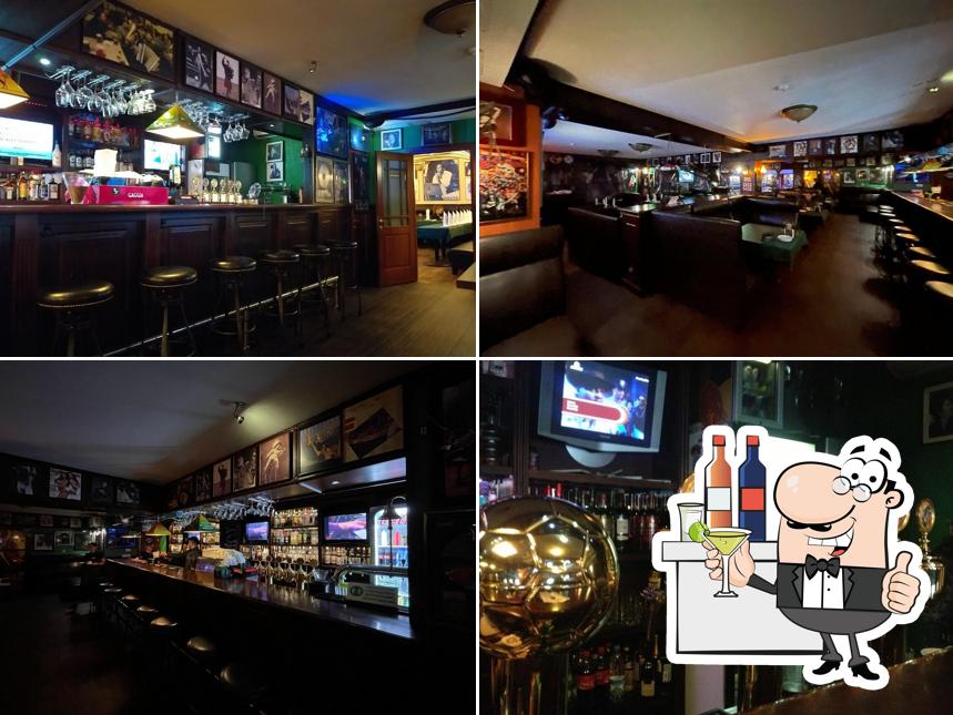 Кот и клевер