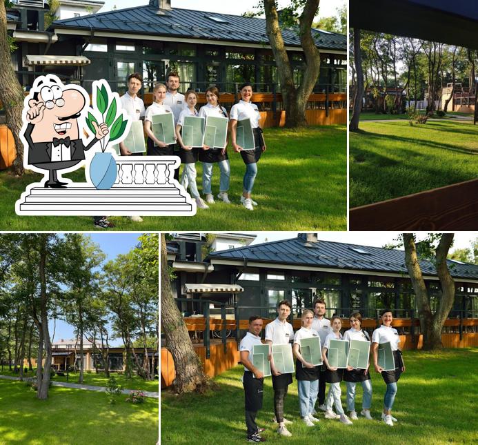 Лес на косе