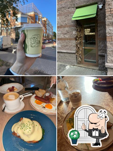 Кофе друг человека