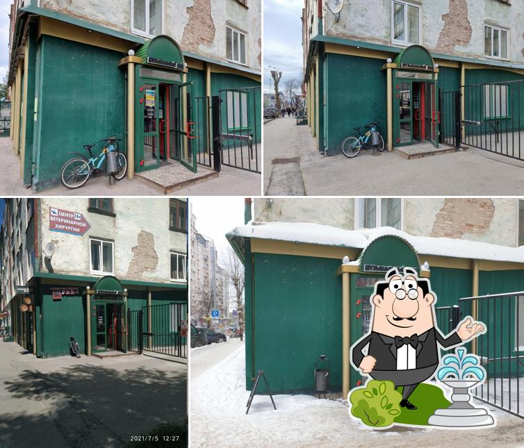 Запрещённая рыба