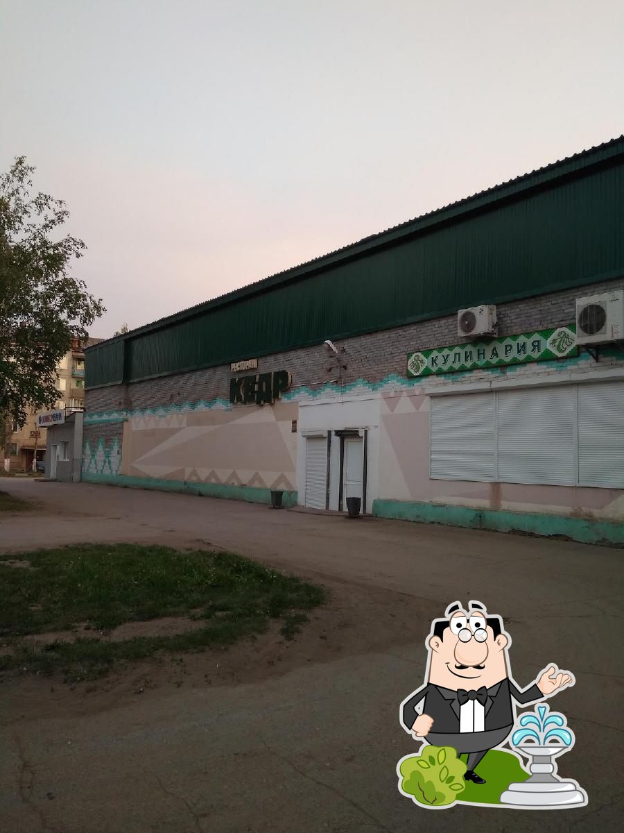 Кедр