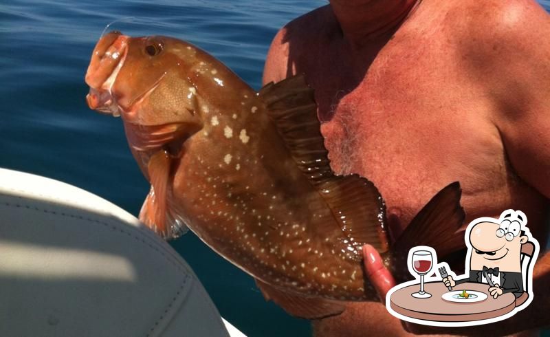 Captain "D" Fishing