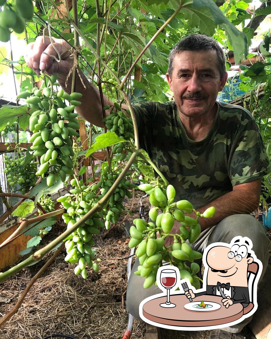 Виноград