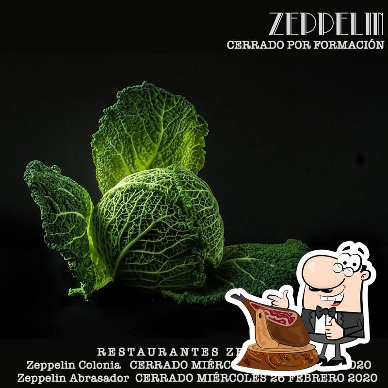 Zeppelin Colonia