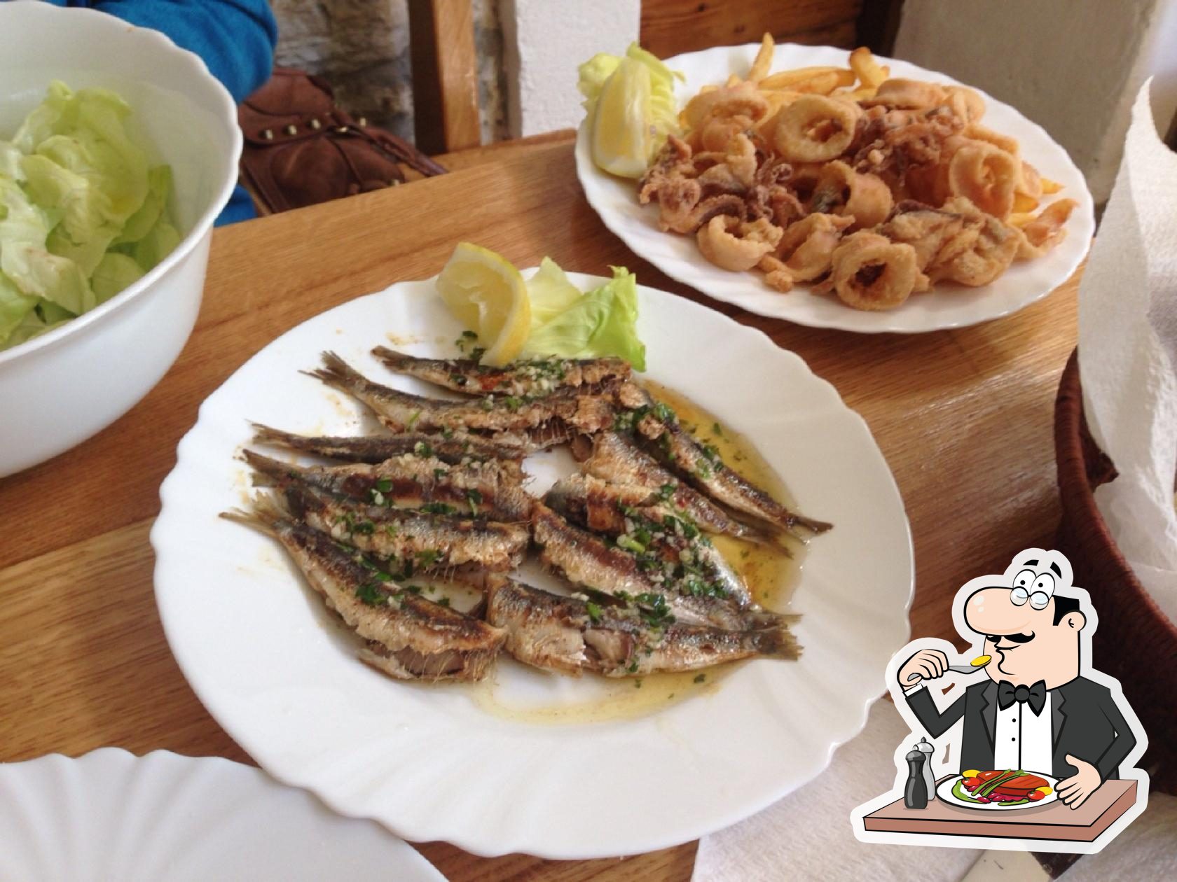 Fish Food Antonio
