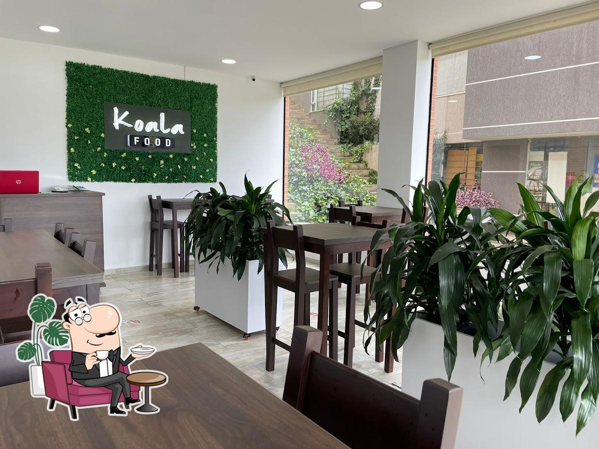 Koala food