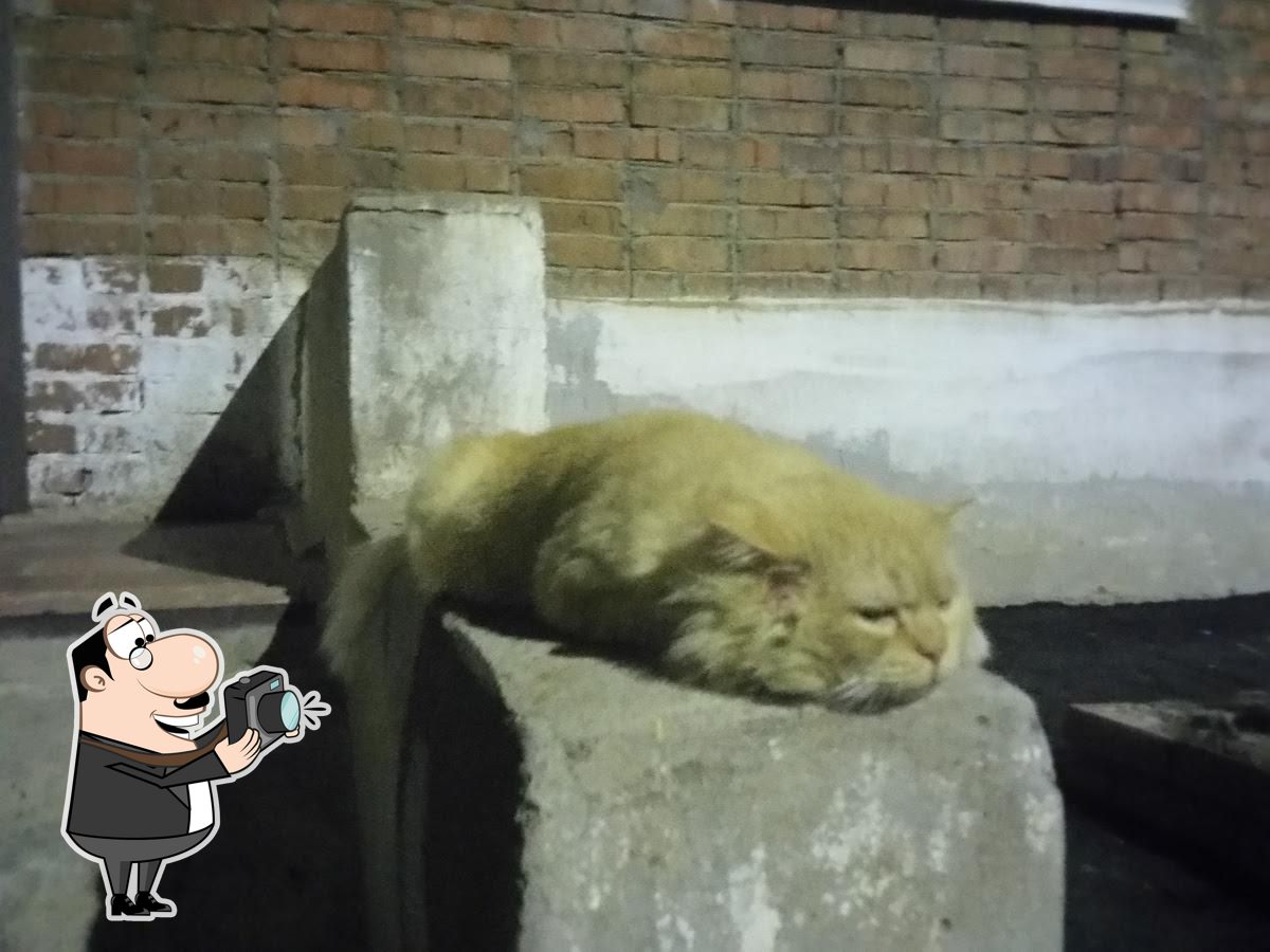 ДЖИ