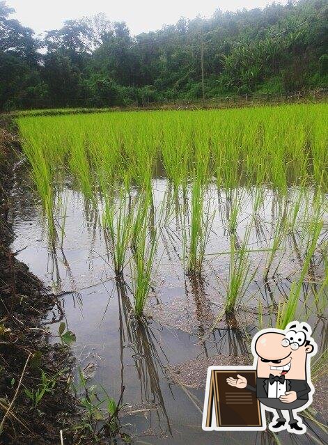 ร้านอาหาร บ้านสวนชมดอย