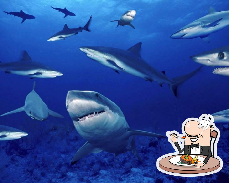 International SHARK OCEAN Restaurant
