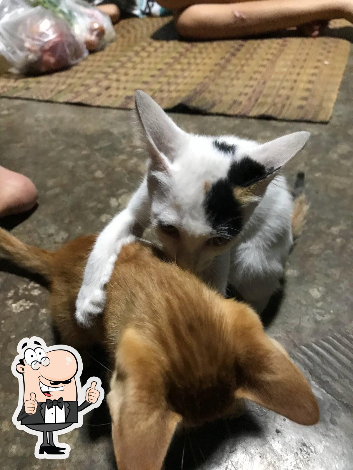 ชาบูบอยด์