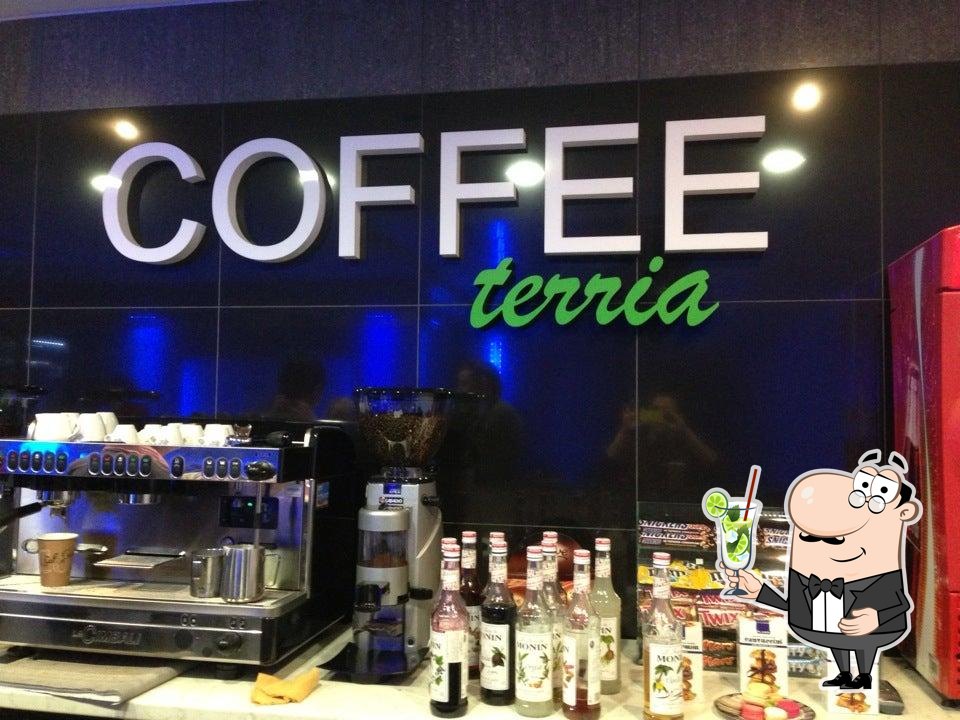 Coffee Terria