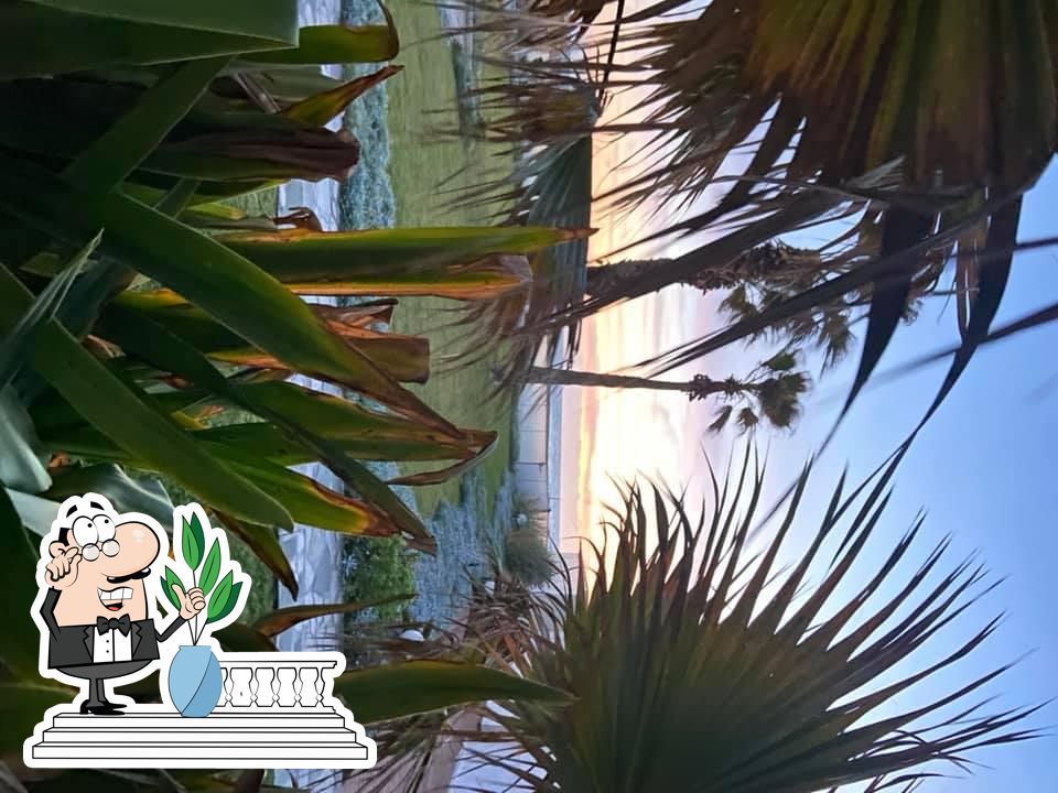 Mami Roof Lounge Restaurant Ostia - Terrazza Panoramica Stabilimento Mami