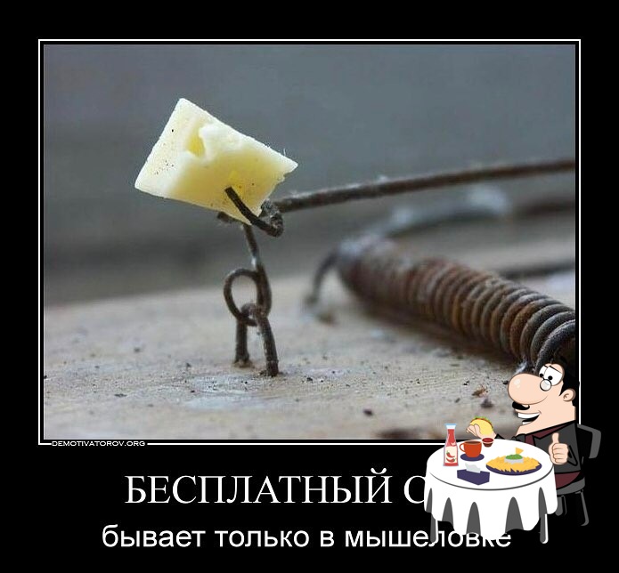 Зодчий