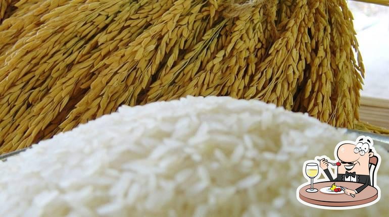 Wanintegratedrice