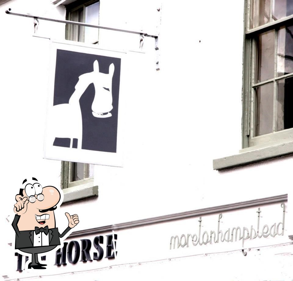 The Horse [Moretonhampstead, UK] Newton Abbot