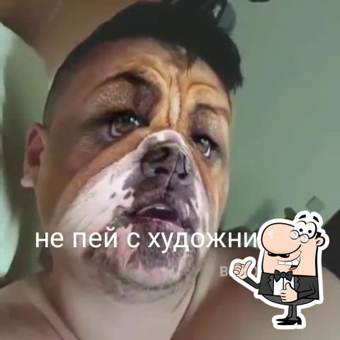 кафе мотылек