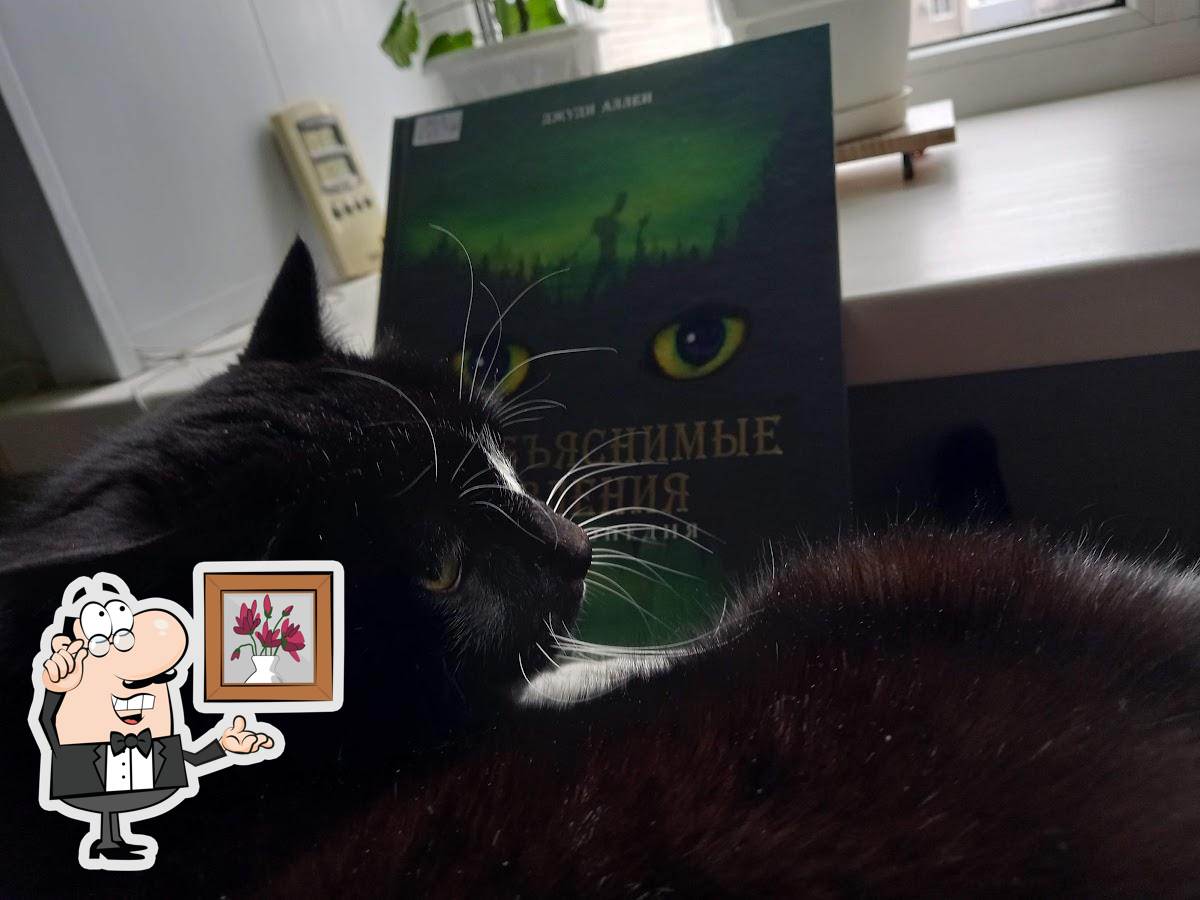 Касике Ди-Эм-Си