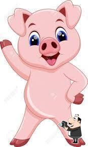 Carnitas dany