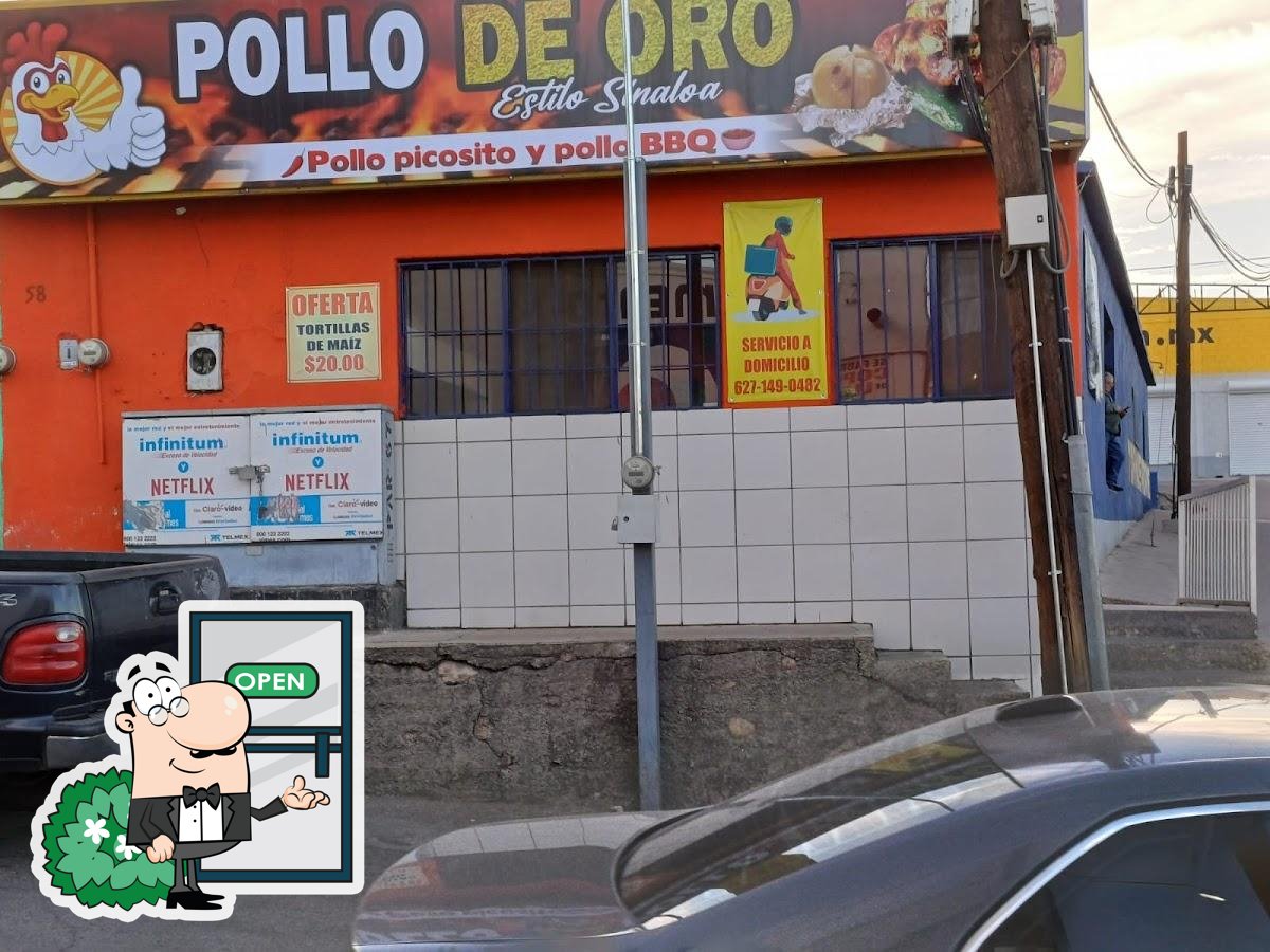 Pollo de oro