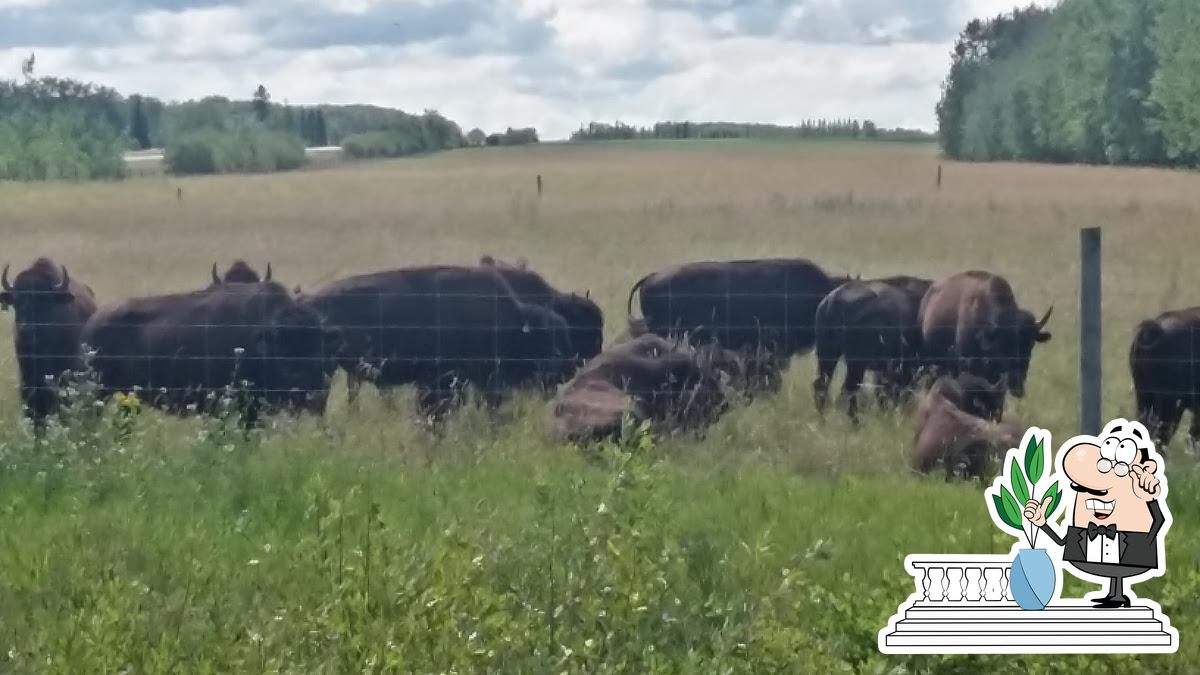 Buffalo Junction