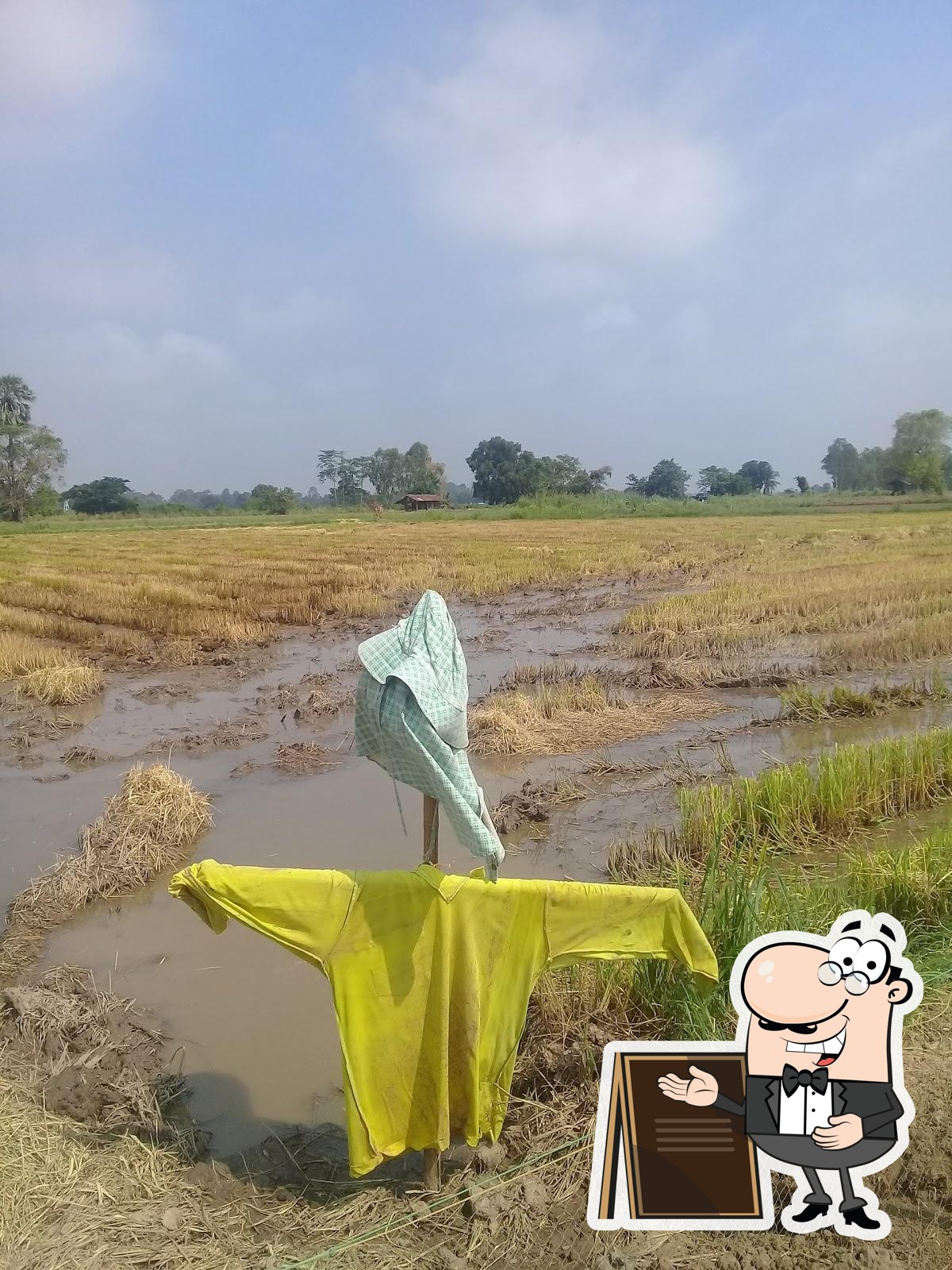 ครัวชาววังลุงหนวด