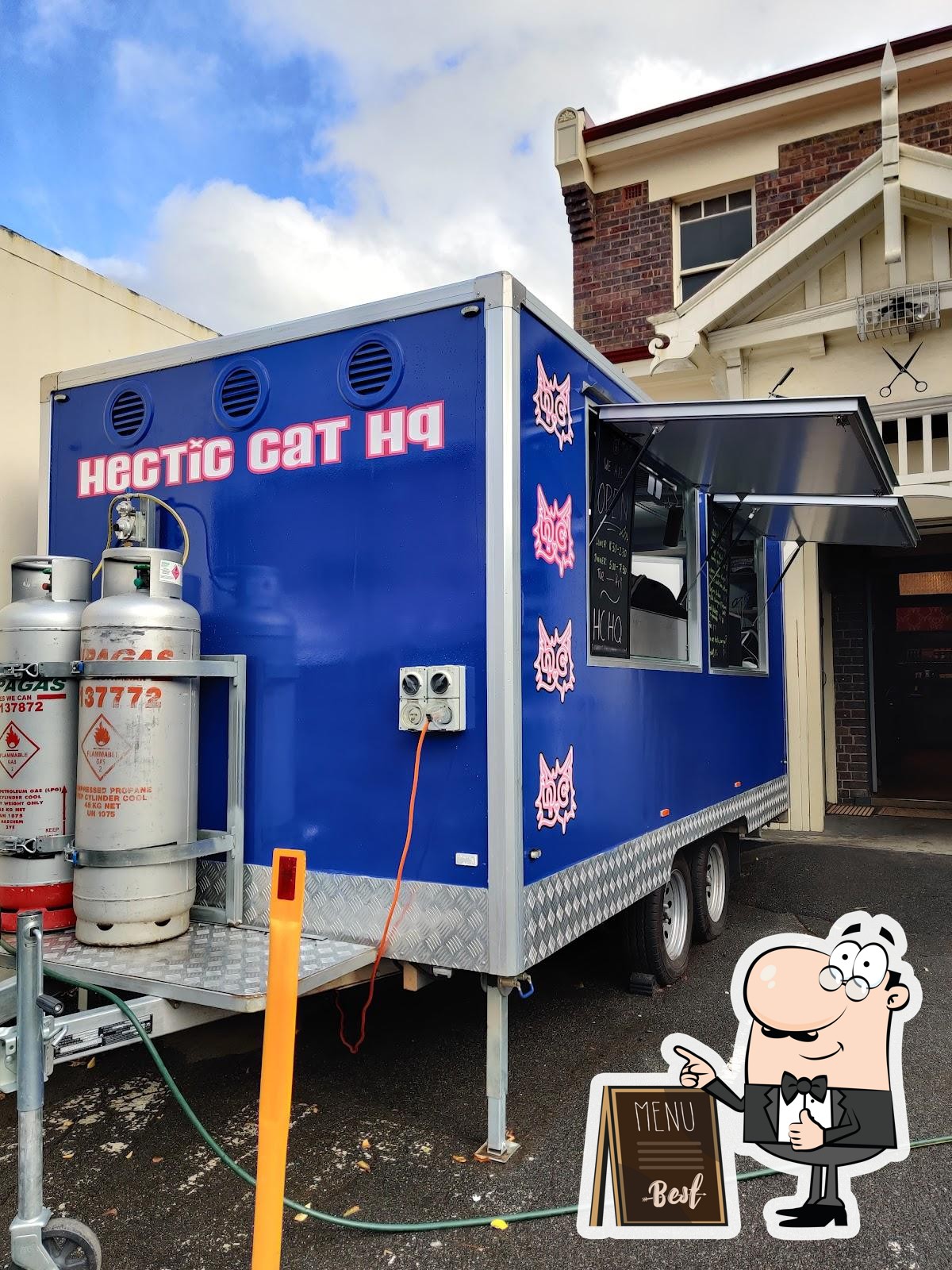 Hectic Cat HQ