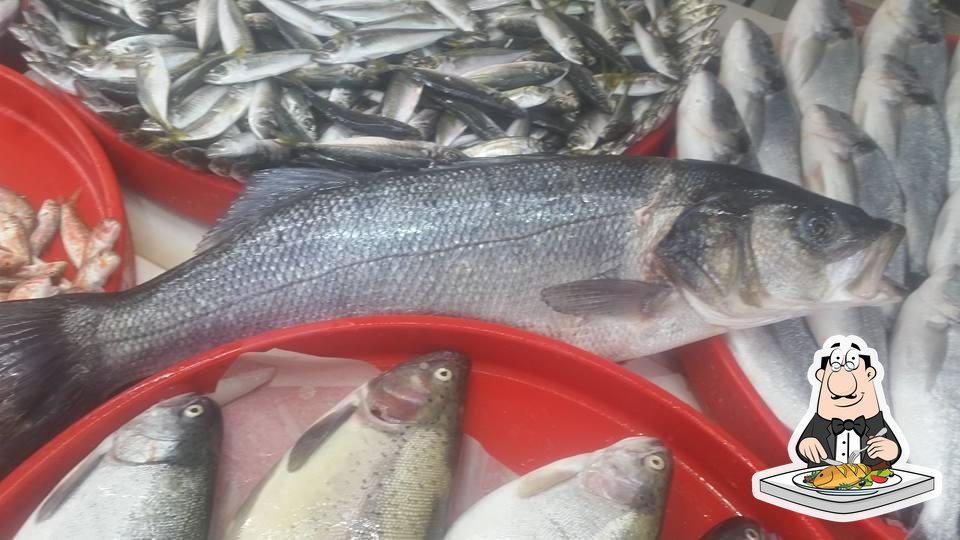 Reis Fishing