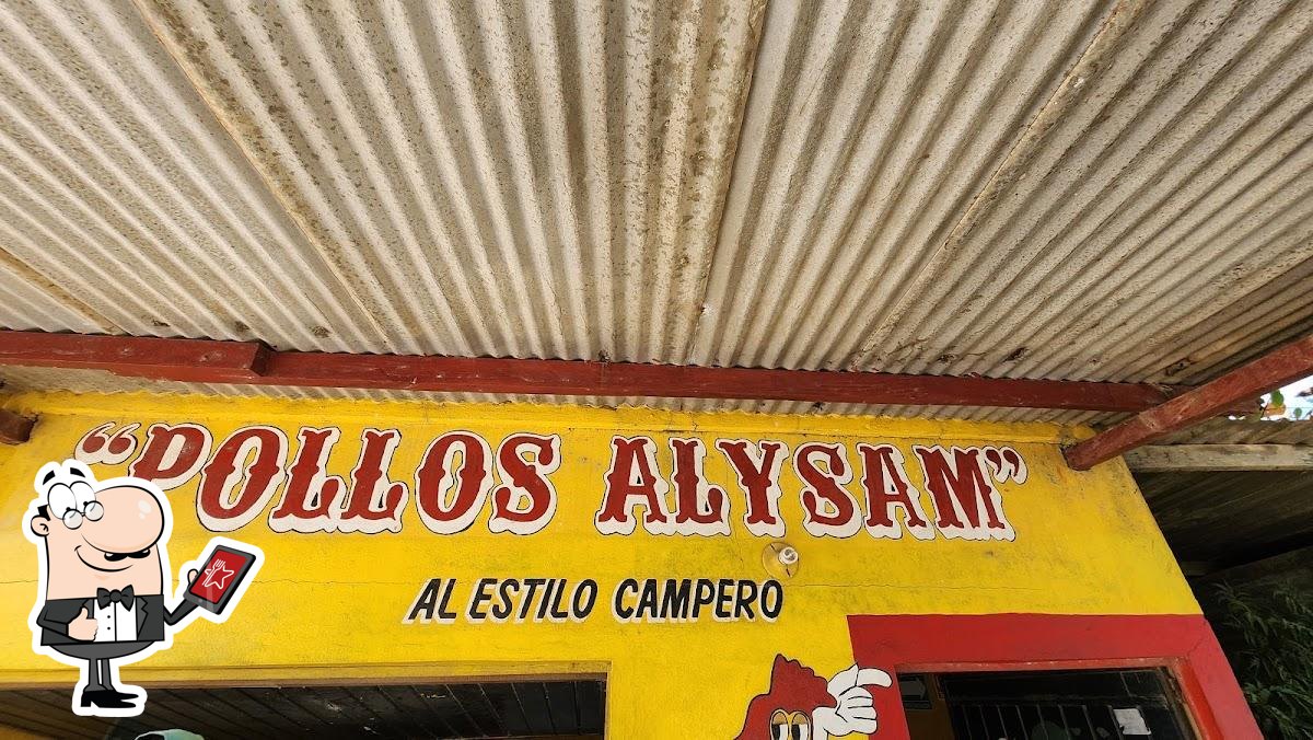 Pollos ALYSAM