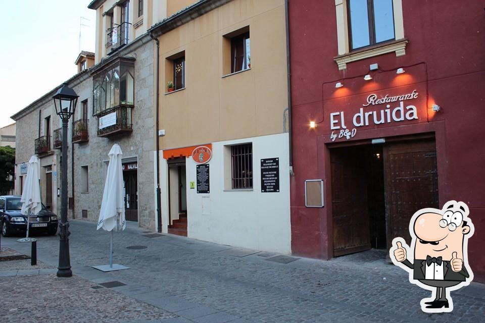 Druida
