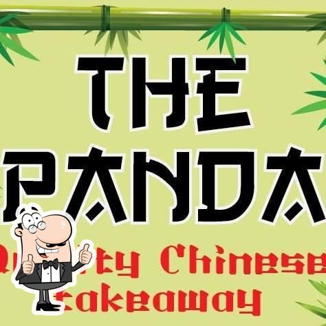 The Panda Manorhamilton