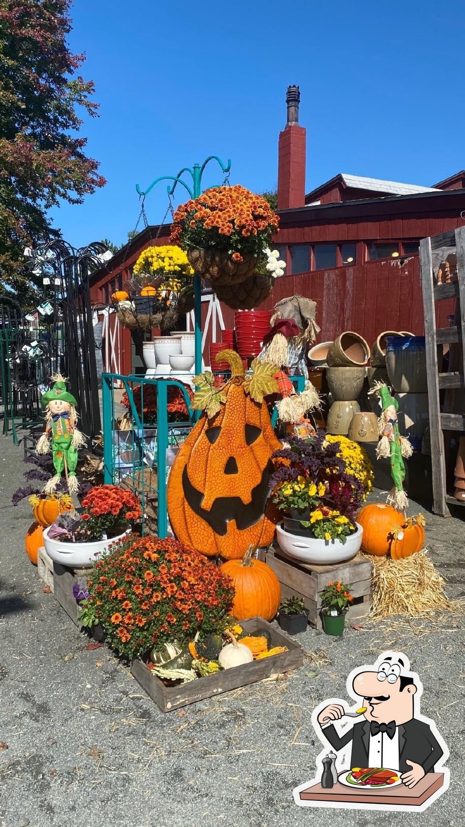 Reston Farmer's Market