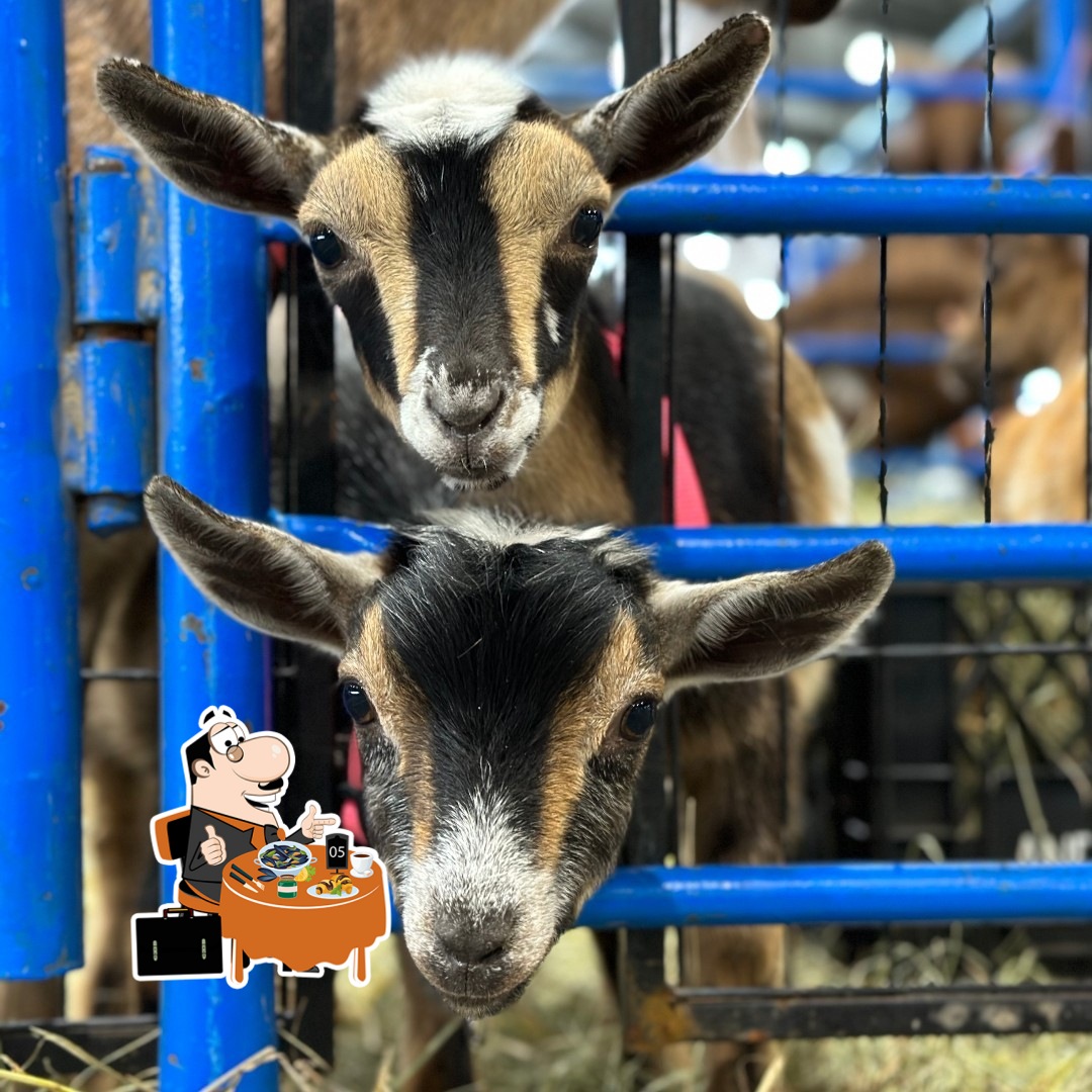 Alaska State Fair - Food Guide