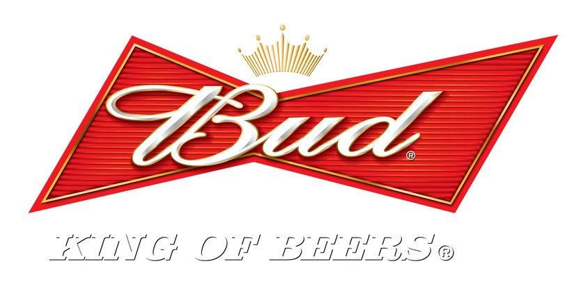 Bud Place - Саквояж для беременной шпионки Saint Petersburg