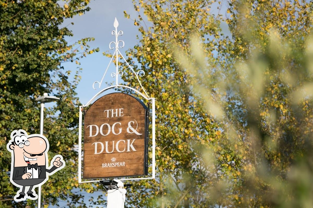 The Dog & Duck