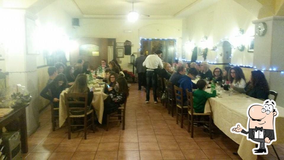 Pisani33