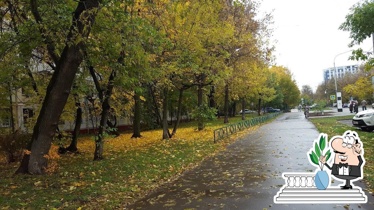 Сакура